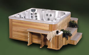 R7D Spa DIAMOND TWO accessories Cedar -$758.10 at time of order
